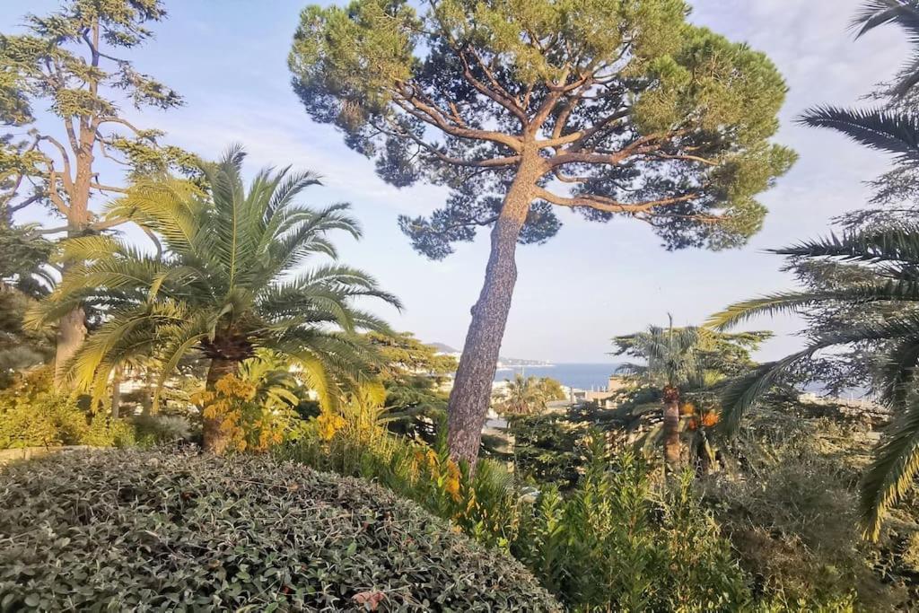 Appartement Nice Centre Vue Mer Avec Piscine Pour Famille, Couple D'Amis Pas De Groupes De Jeunes Autorises Eksteriør bilde